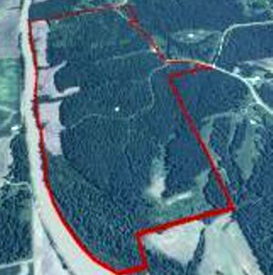 Over 300 Acres on Young's Lodge